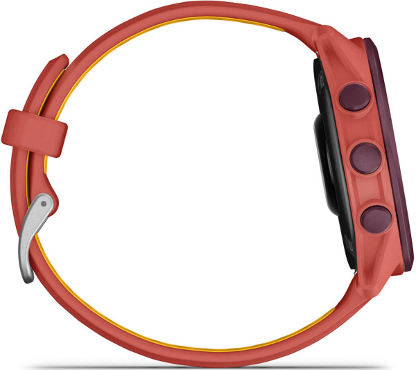 Music Red Pink with Red Pink-Mango Band 43mm 4